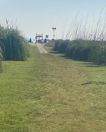 Le Vasto