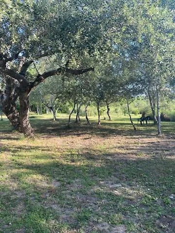 Semesterbostad Le Vasto